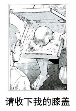 请收下我的膝盖
