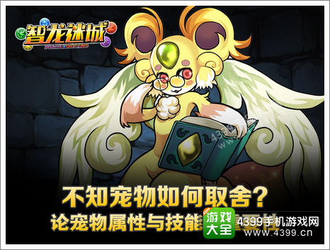 智龙迷城宠物选择