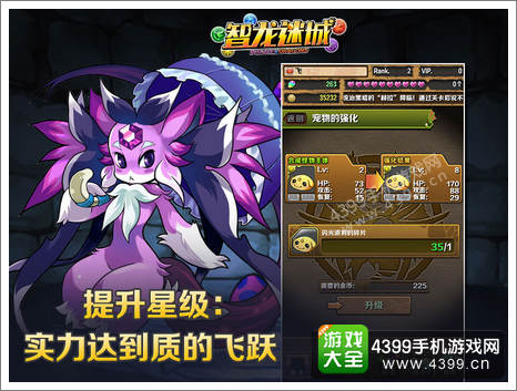 智龙迷城什么宠物好