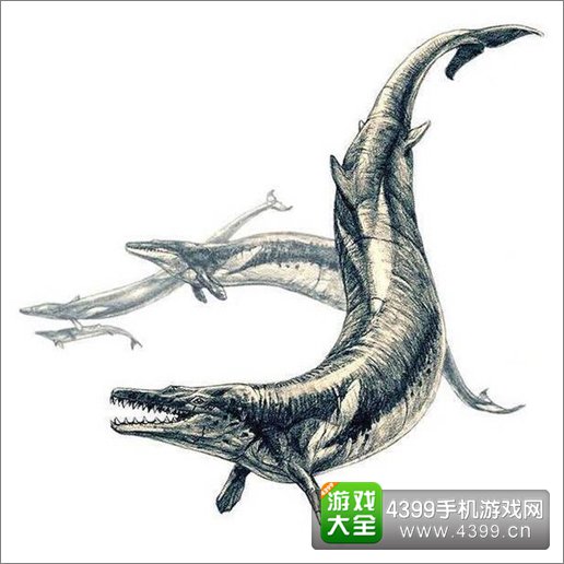 饥饿鲨:进化