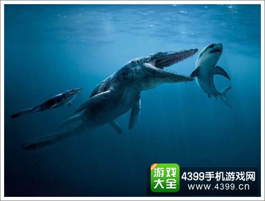 饥饿鲨:进化鲨鱼