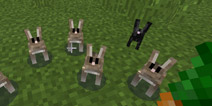 我的世界0.13预告 mcpe0.13版本更新快讯
