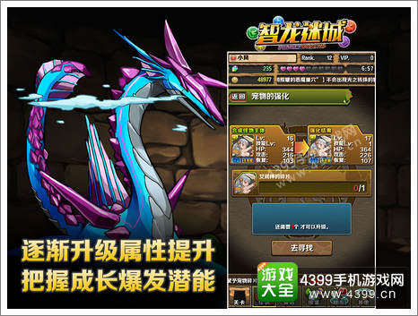 智龙迷城宠物成长