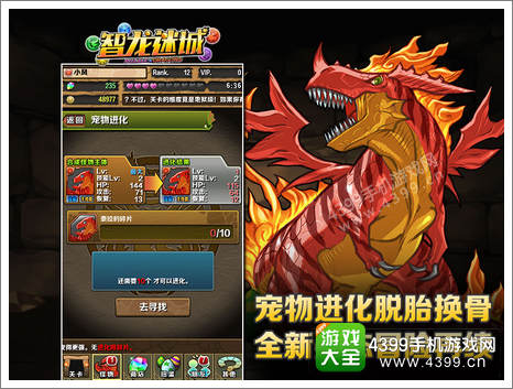 智龙迷城宠物培养