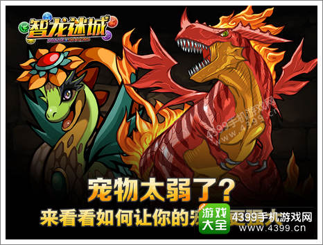 智龙迷城宠物培养