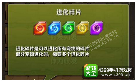 智龙迷城碎片