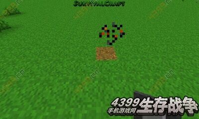 生存战争科研