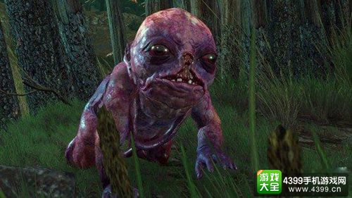 巫师3 尸婴