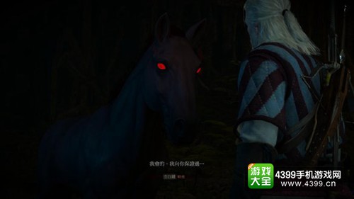 巫师3 林中夫人
