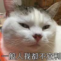 日报1