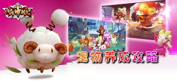 萌神战记宠物攻略 宠物养成攻略