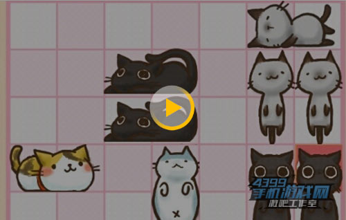 神奇猫咪华容道视频
