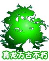 奥奇传说混元天命真龙