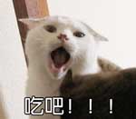 吃吧!