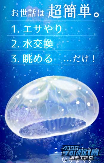 治愈水母育成1