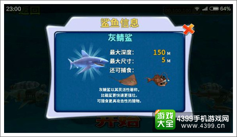 饥饿的鲨鱼灰鲭鲨