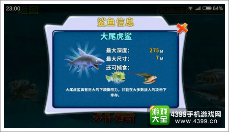 饥饿的鲨鱼虎鲨