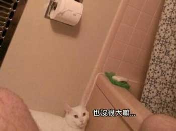 日报3:也没很大嘛...