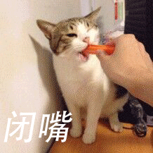 闭嘴