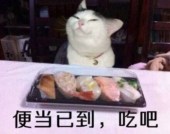 表情