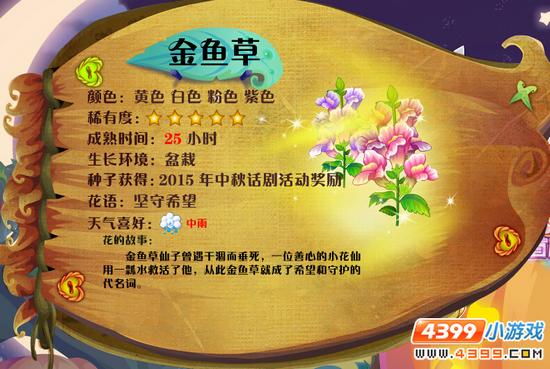 小花仙金鱼草