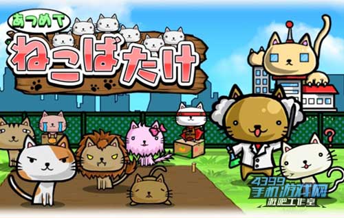 猫畑1
