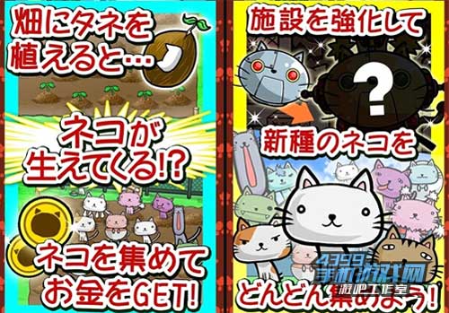 猫畑3