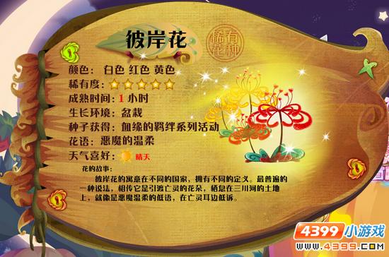 小花仙彼岸花