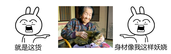 猫咪