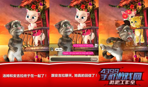 汤姆猫唉安吉拉图