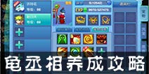 仙语龟丞相怎么样 宠物龟丞相培养攻略