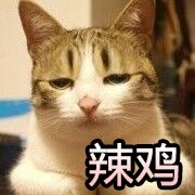 辣鸡