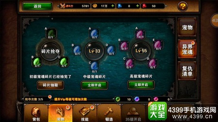 圣骑士之歌宠物