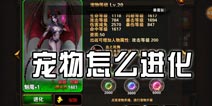 圣骑士之歌宠物怎么进化 宠物进化方式