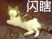 闪瞎