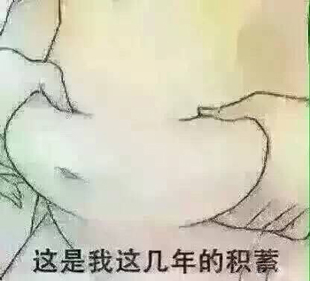 积蓄