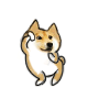 doge