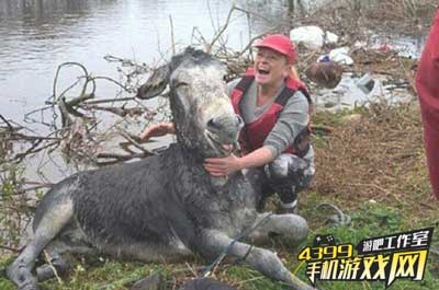 驴笑脸