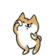 跳舞doge