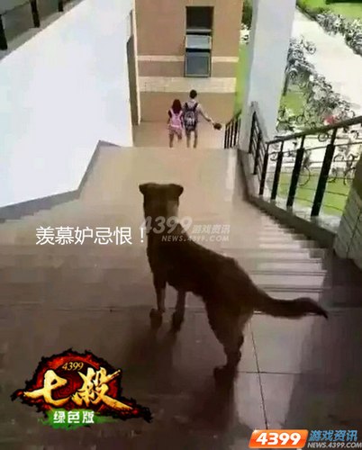 够给力 4399七杀 新版VIP 尊贵服务来袭