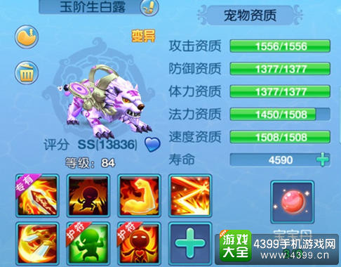 仙语宠物老虎