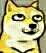 doge脸