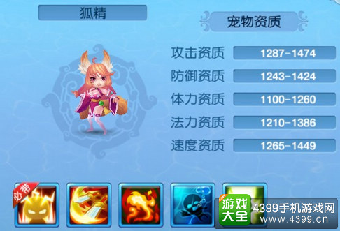 仙语宠物狐狸