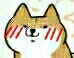 doge