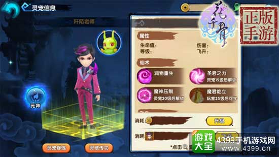 宠物元神