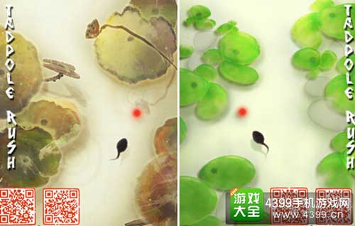 《偏执的蝌蚪》