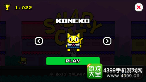 《白领猫》