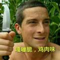 鸡肉味
