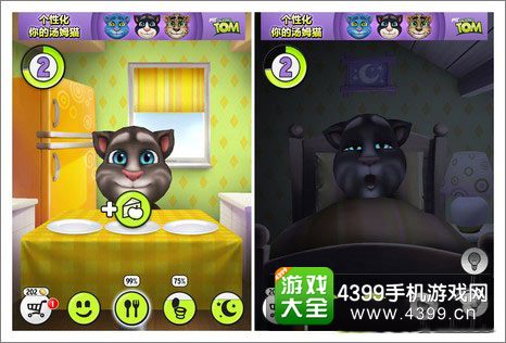 我的汤姆猫