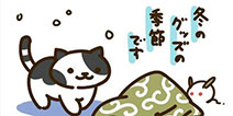 《猫咪后院》更新：过冬了给喵喵加件毛衣